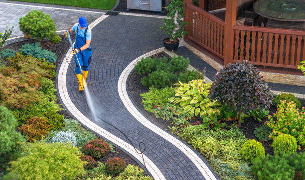 Best Sidewalk Pressure Washing  in Kasson, MN